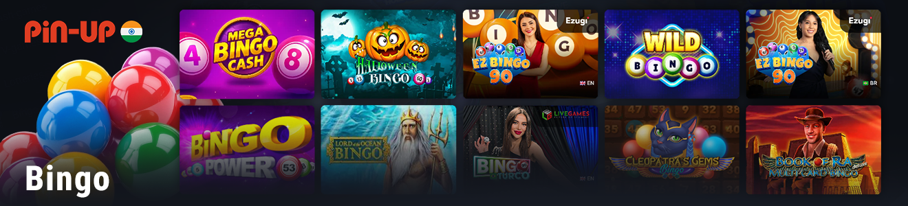 Online Bingo Games Options